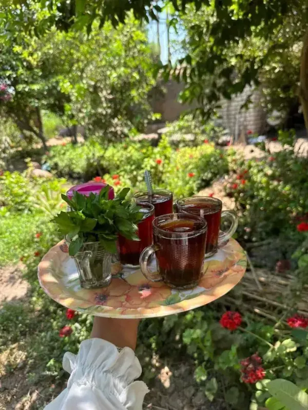 Traditional Egyptian countryside Tea with ment | Egypt For Travel
